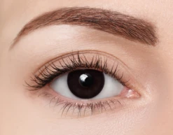 ClearColor Phantom Black Out -Optiek Winkel clearcolor FN009 black out