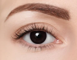 Clearcolor 1-Day Phantom Black Out -Optiek Winkel clearcolor FN101N black out