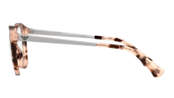 Emporio Armani Emporio 3154 5766 49/20 -Optiek Winkel original png 8056597024686 00004