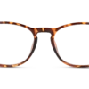 Seen SNOU5003 HH00 50/17 -Optiek Winkel original png 8719154674730 front 01 seen snou5003 eyewear havana havana