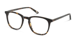 DbyD DBOM0035 HH00 50/21 -Optiek Winkel original png 8719154829307 angle 03 dbyd dbom0035 eyewear havana havana