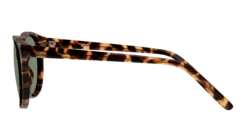 Seen SNSF0025 HHE055/18 -Optiek Winkel original png 8719154833427 00004