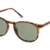 Seen SNSU0020 HHE054/19 -Optiek Winkel original png 8719154834189 angle 03 seen snsu0020 eyewear havana havana