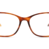 DbyD DBOF5070 OD00 53/16 -Optiek Winkel original png 8719154838231 front 01 dbyd dbof5070 eyewear orange gold